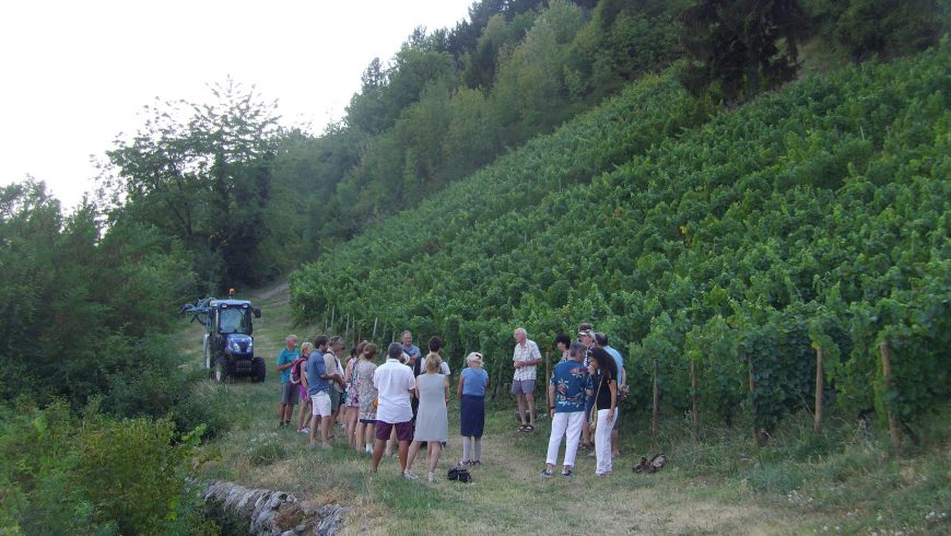 Apéro&rsquo;Vignes jeudi 2 août 2018