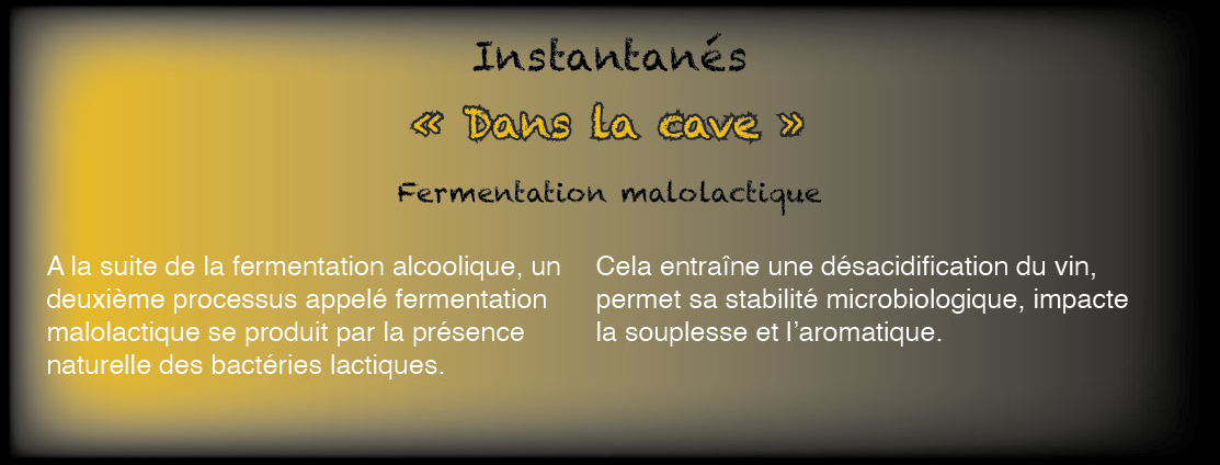 Bannière-FML.jpg