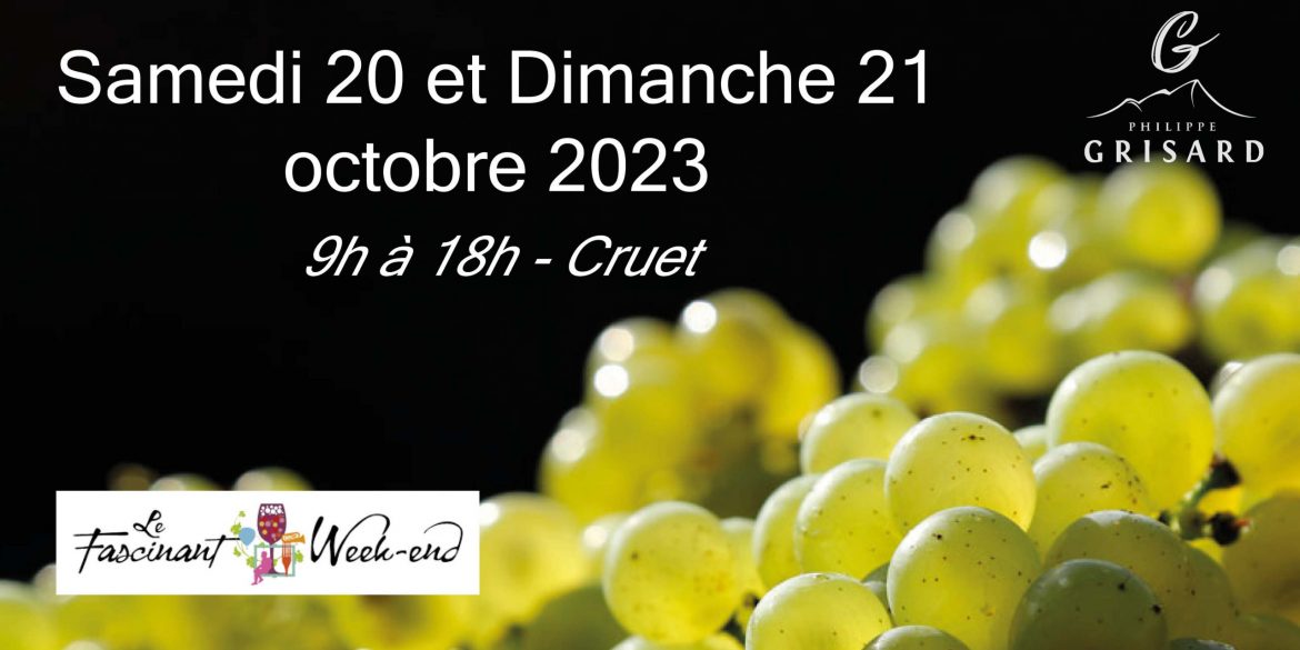 Photo-entete-scaled.jpg