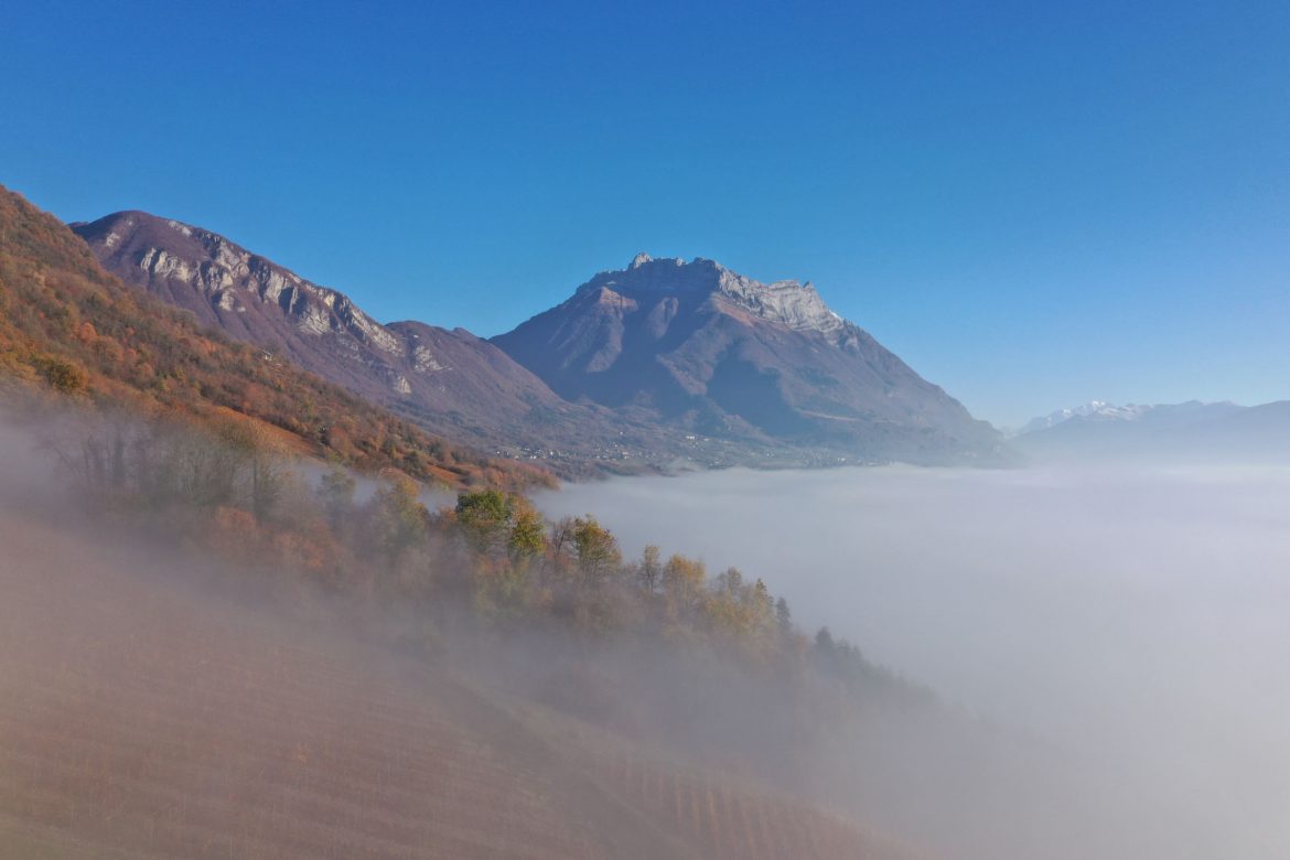 DJI_0260.jpg