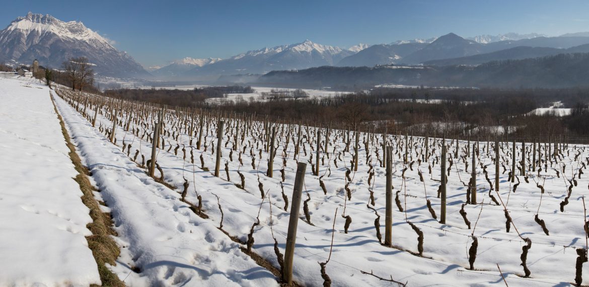 Pano-Cruet-hiver-4.jpg