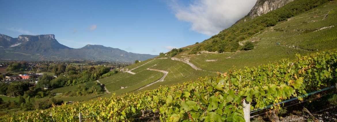 Pano-Montmelian.jpg