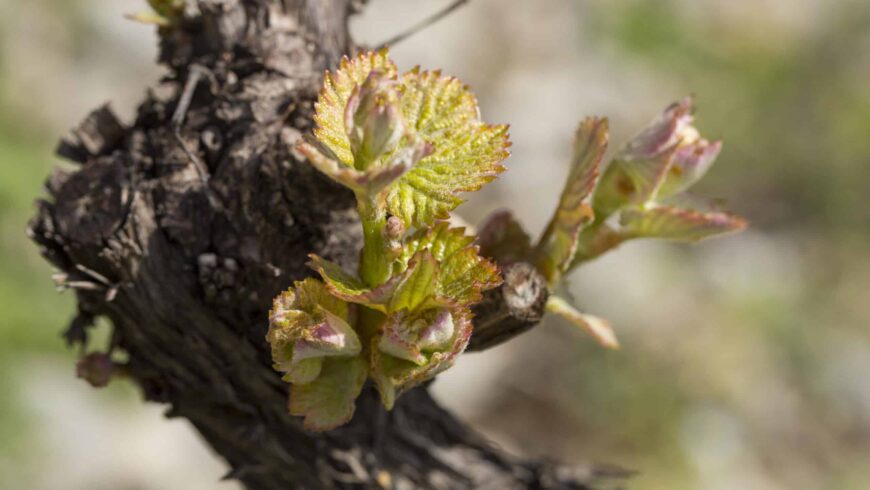 Samedi des 4 Saisons – printemps 2025